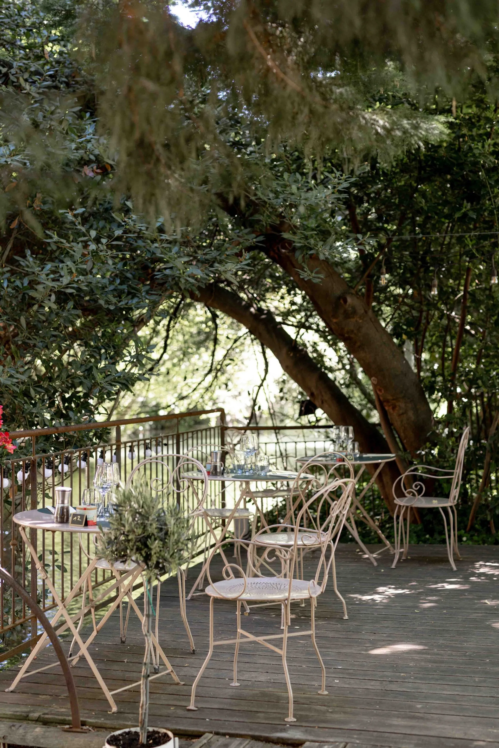 Tables dressées sous les arbres du jardin